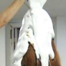 mikemike: Initiation poll done