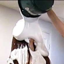 mikemike: Initiation poll done