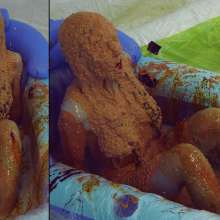 HotWamHD: Antonia's Extreme Gunge Bath--brand new scene at Hotwamhd