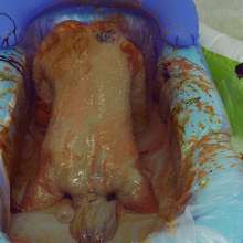 HotWamHD: Antonia's Extreme Gunge Bath--brand new scene at Hotwamhd
