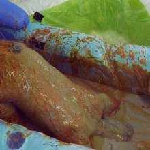 HotWamHD: Antonia's Extreme Gunge Bath--brand new scene at Hotwamhd