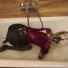 Your Wet Cat: 2 I Wanted Sweets, Pleasure and Depraved