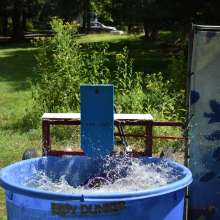 JD and Messy Andi: More Dunk Tank Shenanigans!