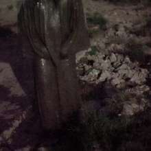 Swamp Angel: 72 Mud Wings Top and Long Skirt Sport