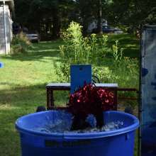 JD and Messy Andi: More Dunk Tank Shenanigans!