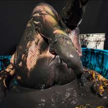 MelonieNosha: Black Hole Gunge