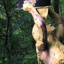Pure Paint: Elisa in Forest Mud