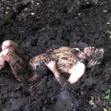 Pure Paint: Elisa in Forest Mud