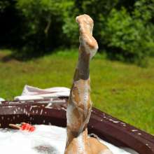 dlodoski: Summer's Bubble Bath--Photos