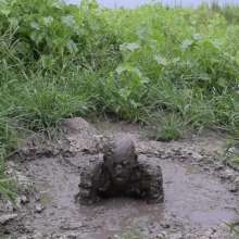 RyuuWammer: Mud Tug