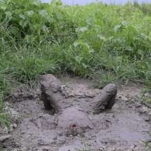 RyuuWammer: Mud Tug