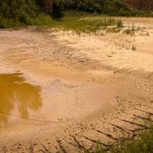 KinkyCosplayer: Wisconsin, Illinois, and Iowa Mud Lovers