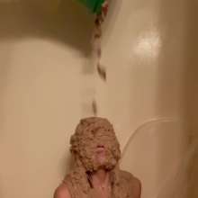 Slimed Models: Quite Possibly the Grossest Slime Compilation on UMD