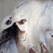 Wam Bagheera Studio: Messy Schoolgirls Get Wild