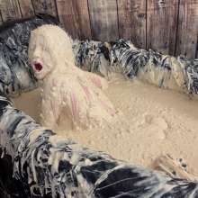 Messygirl: New Messygirl Download: Slop Covered Cruella