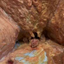 Wamgirlx: Sploshing JOI Extreme Multi Fetish Mess