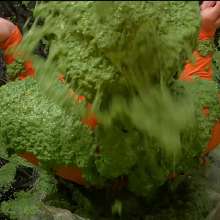 somedude82: Velma (Starrly) Gets Slimed at the 