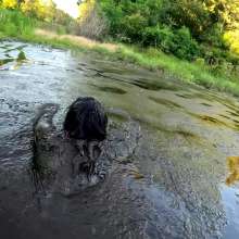 Jayce: Deep Sinking-"Tar" Mud+Peat in Public!  W/ Tannerqs!