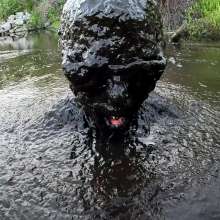 Jayce: Deep Sinking-"Tar" Mud+Peat in Public!  W/ Tannerqs!