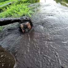 Jayce: Deep Sinking-"Tar" Mud+Peat in Public!  W/ Tannerqs!
