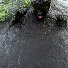 Jayce: Deep Sinking-"Tar" Mud+Peat in Public!  W/ Tannerqs!
