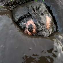 Jayce: Deep Sinking-"Tar" Mud+Peat in Public!  W/ Tannerqs!