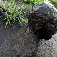 Jayce: Deep Sinking-"Tar" Mud+Peat in Public!  W/ Tannerqs!