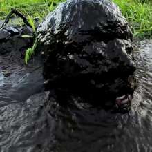 Jayce: Deep Sinking-"Tar" Mud+Peat in Public!  W/ Tannerqs!