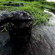 Jayce: Deep Sinking-"Tar" Mud+Peat in Public!  W/ Tannerqs!