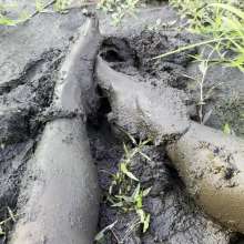 Jayce: Deep Sinking-"Tar" Mud+Peat in Public!  W/ Tannerqs!
