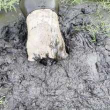 Jayce: Deep Sinking-"Tar" Mud+Peat in Public!  W/ Tannerqs!