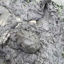 Jayce: Deep Sinking-"Tar" Mud+Peat in Public!  W/ Tannerqs!