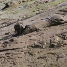 DungeonMasterOne: Dress Vs Pants in the Mud with Isabeau and Lady Jennifer
