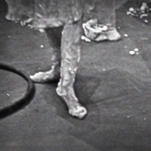 dougiezerts: Edie Adams' Messy Feet