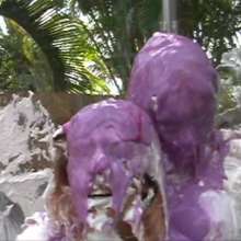 wamtec: Gunge Tank Fun: Megan and Roxie