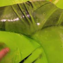 Slime Sirens: Lilin Bound, Slimed, and Dominated in Leather Pants Pov!