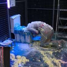 LiquidX: Messyworld Autumn Gunge/Slime Trail
