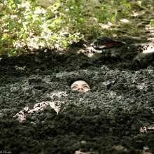 dlodoski: Ashley Exploring a Peat Pit--Photos