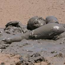 dlodoski: Camilla is Talkin' and Rubbin' in the Mud--Photos