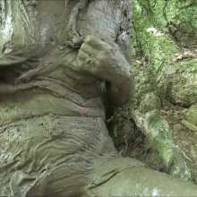 custardcouple: Mud Slut 6