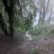 tsarmina: Rained Out!