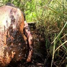 TannerQS: Tanner Performs His Hottest Scene in Peat