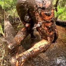 TannerQS: Tanner Performs His Hottest Scene in Peat