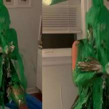 Slime Genesis: Chelsie Discovers How Messy Slime Can Be...