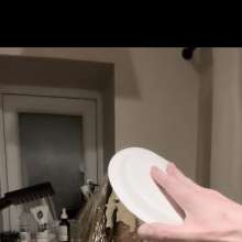 Galactico91: My wife gets pied part 4!