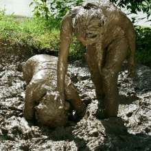 Owen: Boots and Brawl in the Mud, Jane and Carol--Photos