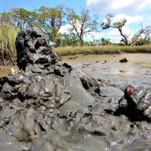 Goonology: Quick Spurt in Thick Dirt