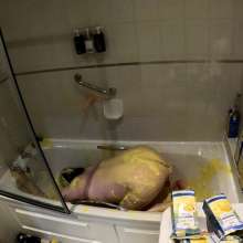 Wakka: Wakka Destroyed With Custard on His Wedding Night