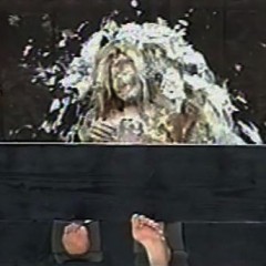 Lenny: Tickled & Pied all over video on sale !