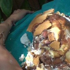 Lenny: Several New videos with pies & nude women now on sale at Excessive Mess